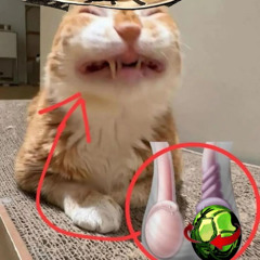 LmaIANIS