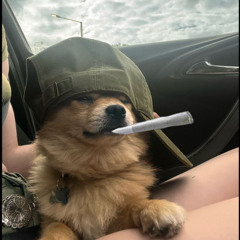 straight to the top (Demo)