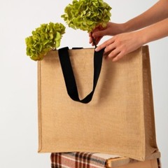 Sustainability In Market Research | How Eco-Conscious Consumers Are Shaping Brand Strategies