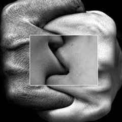 Fresh Produce 165 - Convolute
