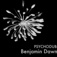 PSYCHODUB