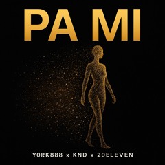 PA MI  - y0rk888-KND