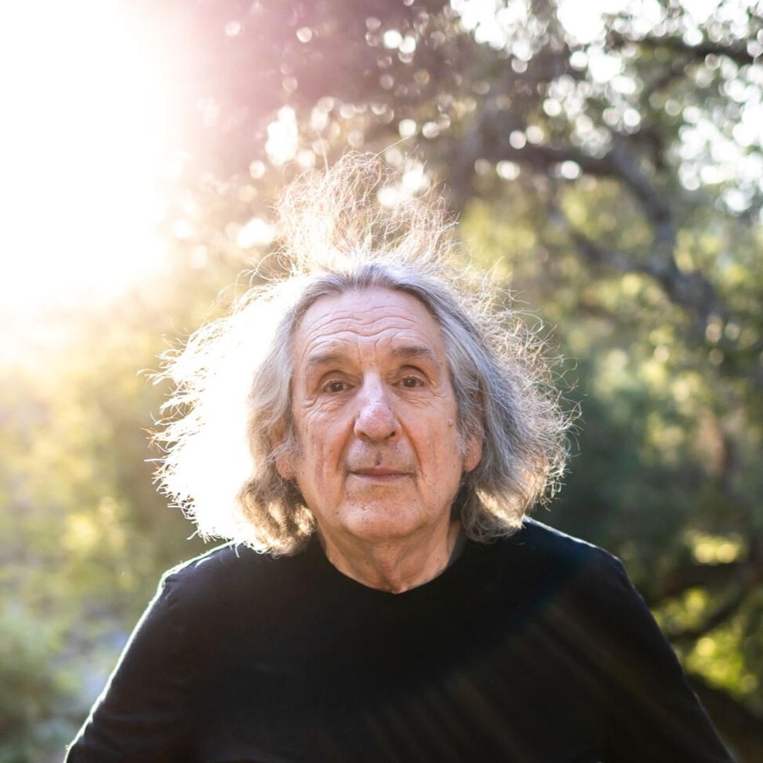 Stream Revisit John Perlin A Forest Journey By Nature Revisited stream-revisit-john-perlin-a-forest-journey-by-nature-revisited