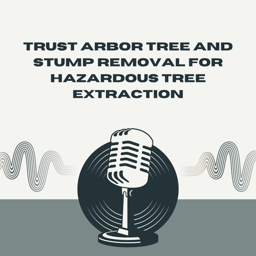 Trust Arbor Tree And Stump Removal For Hazardous Tree Extraction