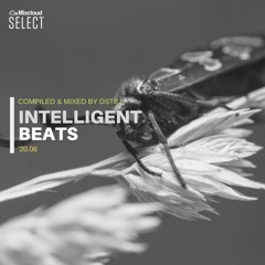 Intelligent beats '20.06 (selection preview)
