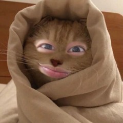 cute cat (prod. me)