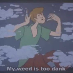 LOWER - SHAGGY (NOVEMBER PATREON) 🐶