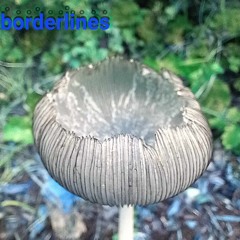 BORDERLINES EP#38