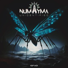 Numayma - Unidentified | OUT NOW 🐝🎶