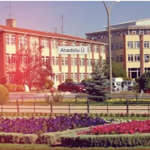 Stream episode 20 Mayıs-BHGH-Online by Özlem Tüzüner podcast | Listen ...