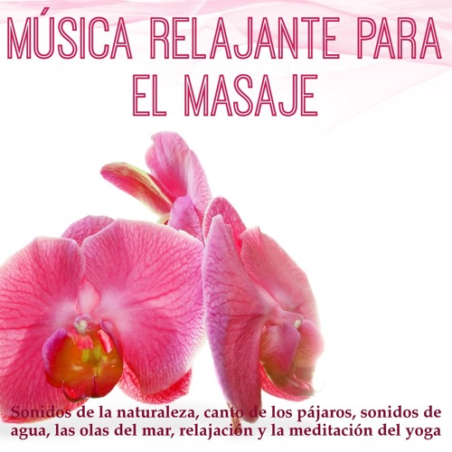 Stream Grupo de música de masaje | Listen to Música relajante para el masaje  - Sonidos de la naturaleza, canto de los pájaros, sonidos de agua, las olas  del mar, relajación y