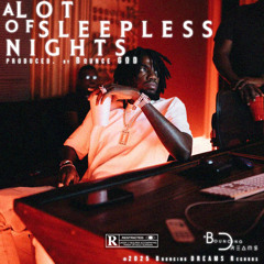 0 000 000 096.0 = a LOT of SLEEPLESS NIGHTS ) GRNVRL ( PROTOTYPE 0000.3
