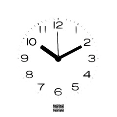 This Whole Time