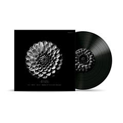 [VRVNL014] Martyn Päsch - 9 Mois [Rambadu, Octte, ABSIS & Traversable Message Remixes] (Previews)