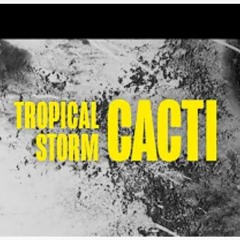 Cacti Ft. Cospe - Tropical Storm (Cospe Remix)(Free Version)(No Download)