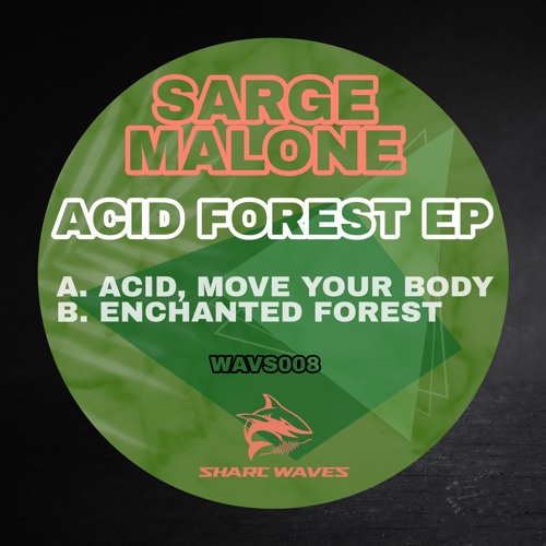 Enchanted Forest (edit)