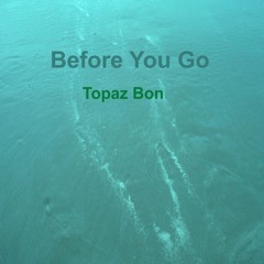 Before You Go