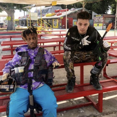 paradise *pintplayer*