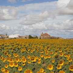 Mantras - Richard Meyer