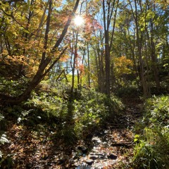 “Life Goes On” feat.YokioYourShawty (prod. kyduh)