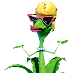 The Rumor Weed Song
