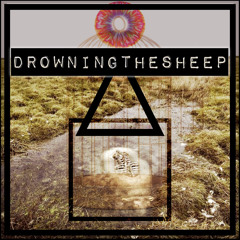 Drowning The Sheep