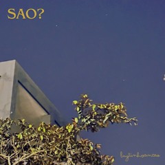 Luytinhvancao - Sao? (Prod By joao.)