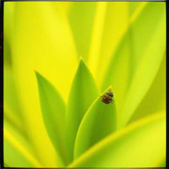 Check for Ticks! (Don't Forget to)