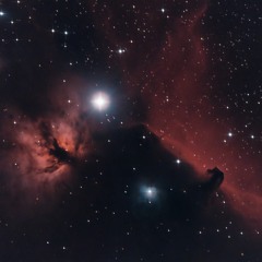 New Tracks Journey 01.24