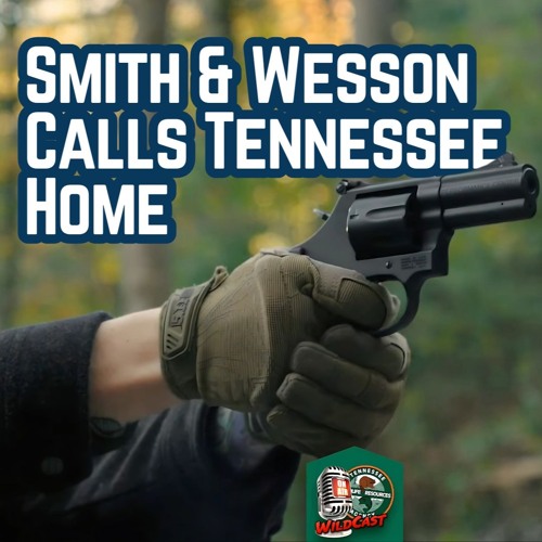 TW 411 - Smith & Wesson Calls Tennessee Home