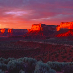 Among the Sagebrush