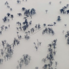 Flight 333