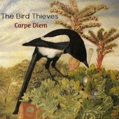 Our Carpe Diem Remix 2024 The Bird Thieves