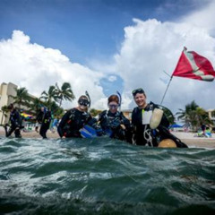 Best Lauderdalebythesea Snorkeling Prices Reviews