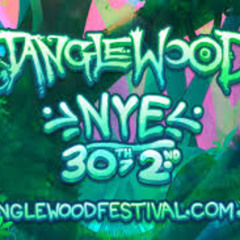 Tanglewood Festival 2024 - Funk Tunnel Opening Set