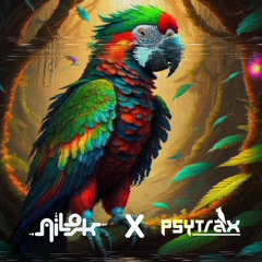 Psytrax B2B Nilok | Evolution Set 2.0 | Psytrance Set [ 148 BPM ] 🕉