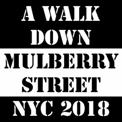A Walk Down Mulberry St NYC 2018