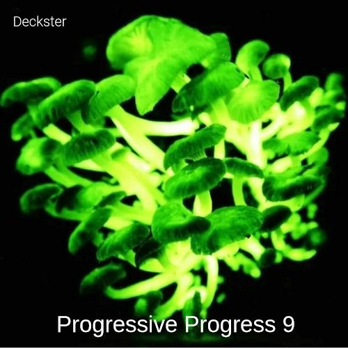 Progressive Progress 9