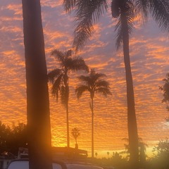 No Losses, Only Lessons Learned (Prod. Thersx)