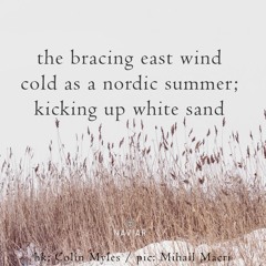 Nordic Summer - naviarhaiku457