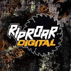Shenton b2b Baseglitz (Live at Riproar 50th release event 2024)