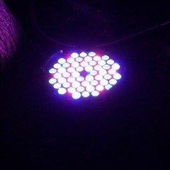 FO @ Ballagi OpenAir /2020.08.01\