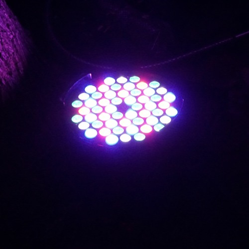 FO @ Ballagi OpenAir /2020.08.01\