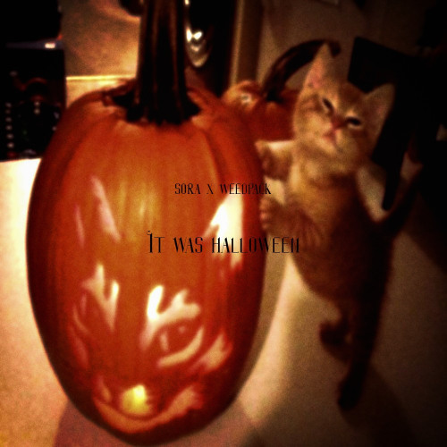 it was halloween (sorry was really busy yesterday n didint drop)