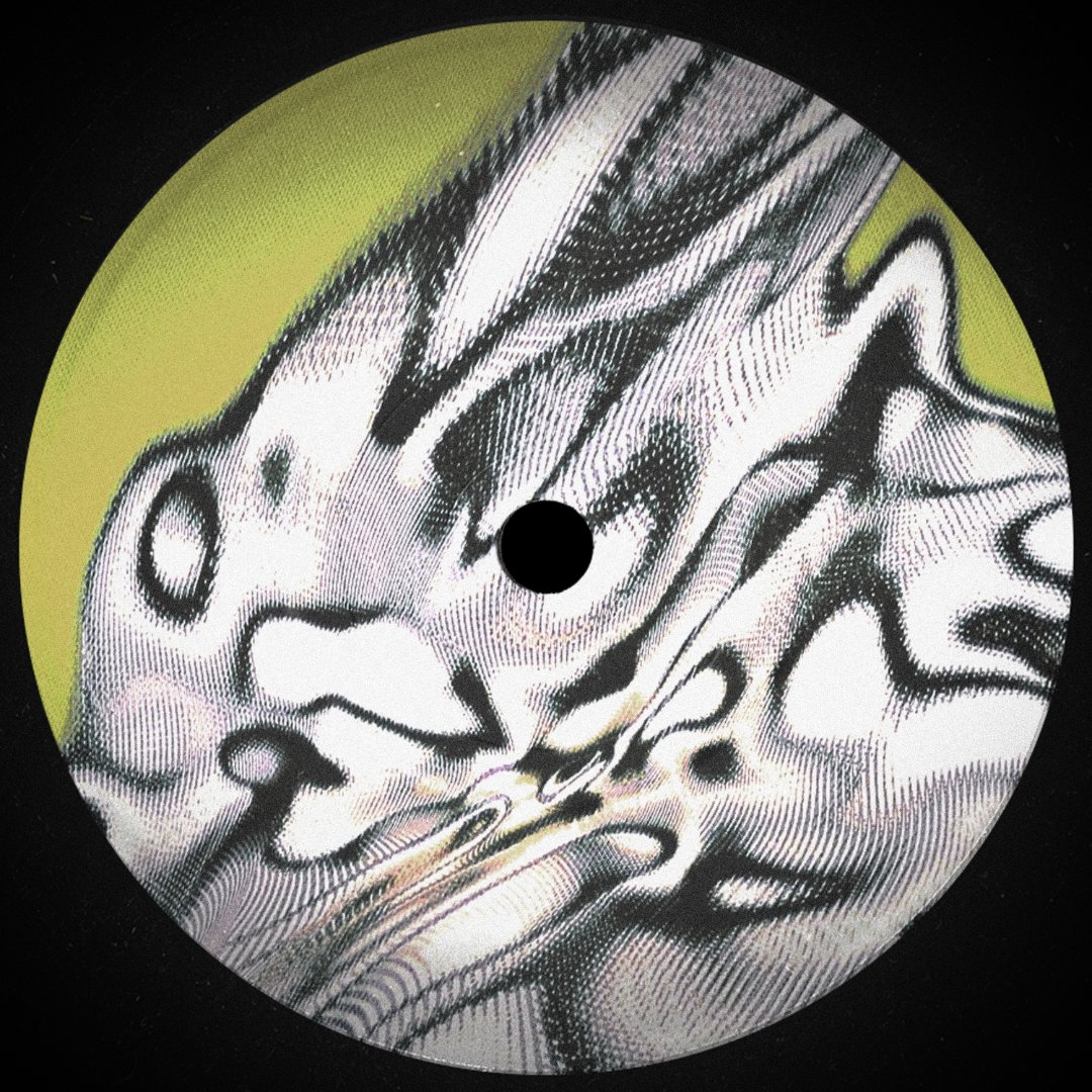 PREMIERE : Elfenberg & Blasamblando - Bitter episode artwork