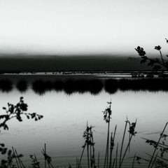 Rain and Insects at Lake Cernek - Kızılırmak Delta