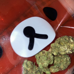 Wanna Smoke?