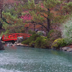 Rainstorm in a Japanese Garden | Calming Nature Ambience (Preview)