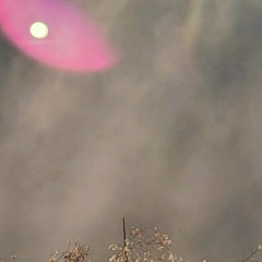 There's no such thing