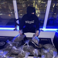 SC x HA fkreestyle